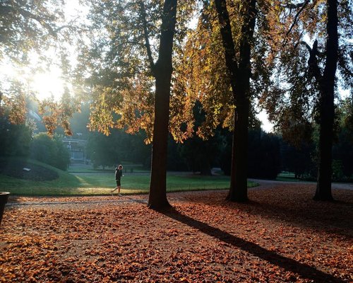 A woman taking a relaxing brisk walk in a beautiful green city park during autumn